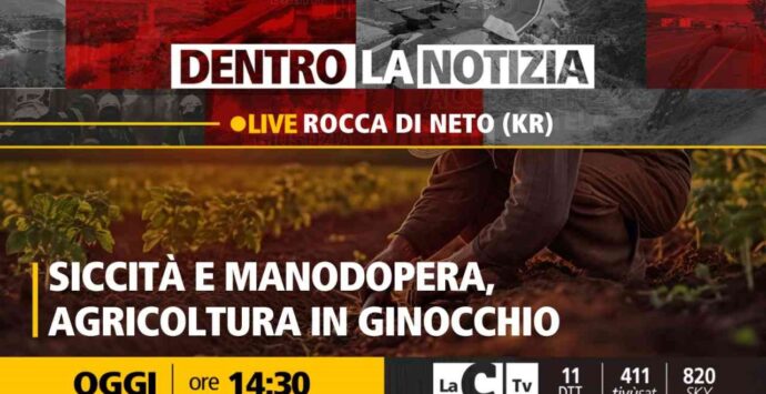 La crisi dell’agricoltura in Calabria al centro della nuova puntata di Dentro la notizia