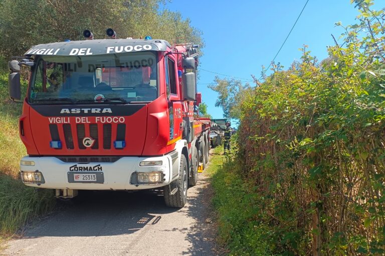 Incidente sul lavoro nel Vibonese, muore schiacciato dal trattore