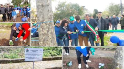 Autismo, dall’inclusione sociale e lavorativa a un tavolo permanente: l’impegno dell’Agnsa Vibo