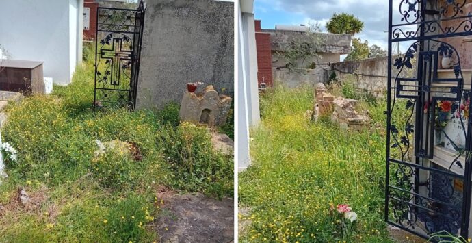 Sterpaglie e degrado nel cimitero di Pannaconi, i cittadini sollecitano interventi