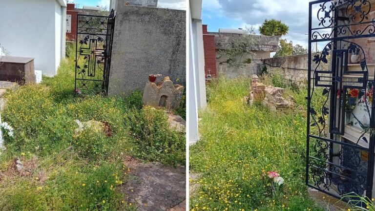 Sterpaglie e degrado nel cimitero di Pannaconi, i cittadini sollecitano interventi