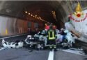 Incidente stradale in Sicilia, deceduto carabiniere in servizio a Serra San Bruno