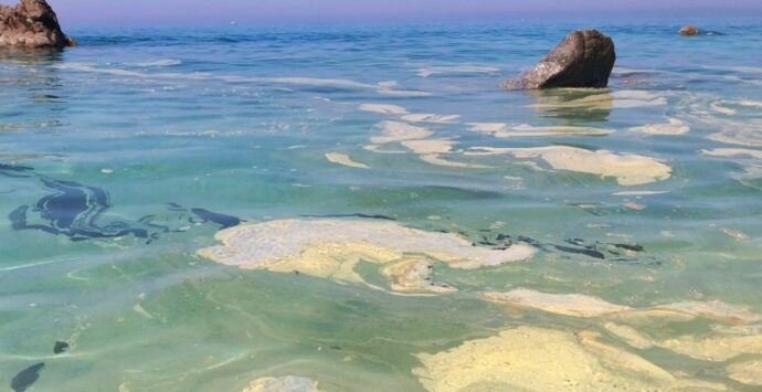 «Mare azzurro a chiazze gialle», la segnalazione dalla spiaggia di Parghelia