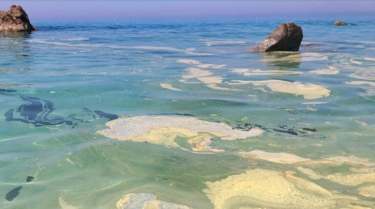 «Mare azzurro a chiazze gialle», la segnalazione dalla spiaggia di Parghelia