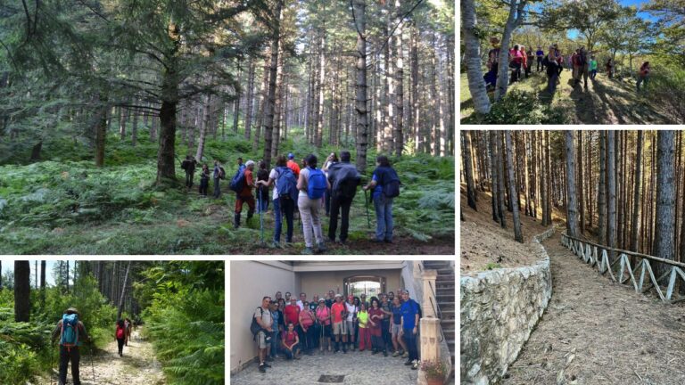 Dai boschi delle Serre ai borghi del Vibonese, la promozione del territorio passa dalle “Terre bruniane”