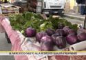 Tra le bancarelle del mercato rionale di Mileto che resiste a crisi e supermercati: «Favoloso e antico» – VIDEO