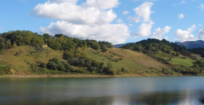 Quarant’anni di impegno a favore dell’ambiente, il Wwf Vibo celebra la festa delle oasi sul lago Angitola