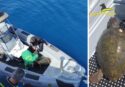 Tartaruga salvata in extremis dai finanzieri durante un pattugliamento al largo di Briatico – VIDEO