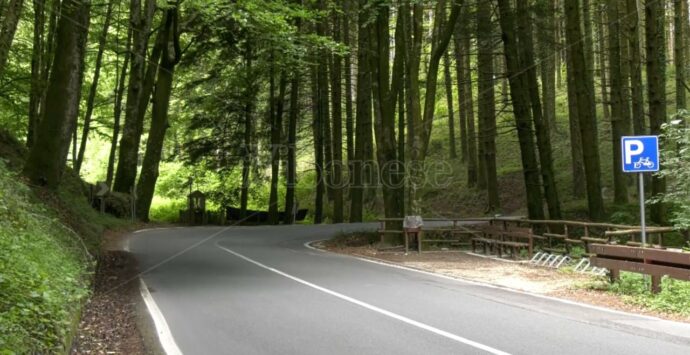 Calabria in bicicletta, parte da Serra San Bruno il rilancio della Ciclovia dei Parchi tra cultura e spiritualità – Video