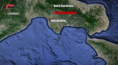 Strage di Ariola, i killer 20enni per il massacro nelle Preserre vibonesi e le “indagini” del pentito Loielo per trovare i colpevoli