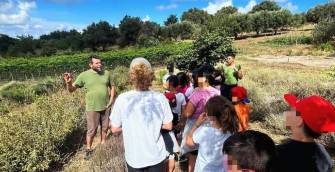 A Drapia è tempo di piccoli “Protagonisti alla scoperta della natura”