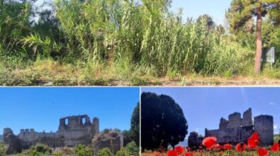 «Qui sembra la giungla di Sandokan», il Castello di Bivona nascosto alla vista da un inestricabile canneto