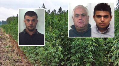 Narcotraffico dal Sud America e dall’Albania sino al Vibonese: chiusa l’inchiesta per 19 indagati