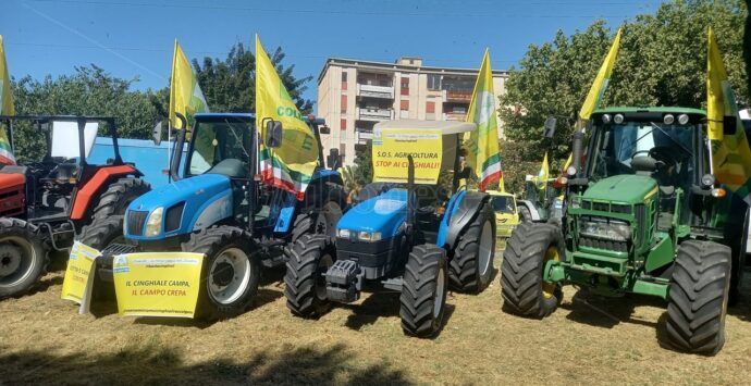 I trattori calabresi tornano in strada per protestare contro l’invasione dei cinghiali
