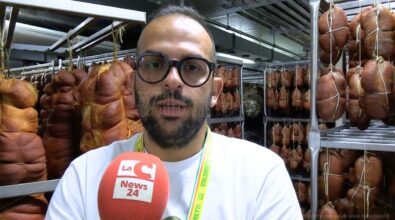 «Quella Made in Usa non chiamatela ’nduja di Spilinga», Porcelli (Coldiretti) risponde a Barbalace dopo la trasferta americana – Video