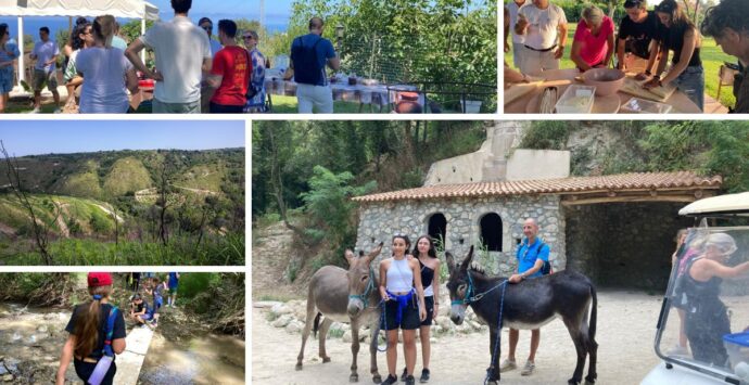Vibonese da scoprire: nella valle del torrente Ruffa alla ricerca della felce dei dinosauri con 2 guide… “bestiali”