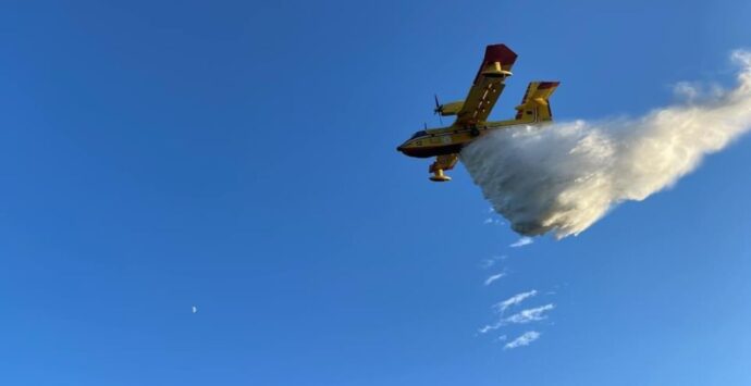 Incendi nel 2024: il Comune di Brognaturo pubblica la mappa delle aree coinvolte. Ecco i dettagli