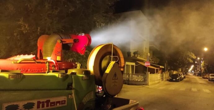 Disinfestazione e derattizzazione a Zungri: ecco le disposizioni del sindaco Fiamingo