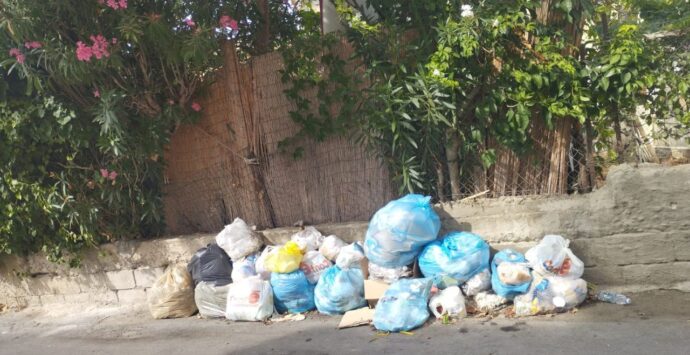 Rifiuti abbandonati in strada a Tropea, l’ex consigliere Piserà scrive ai commissari: «Intensificare i controlli»
