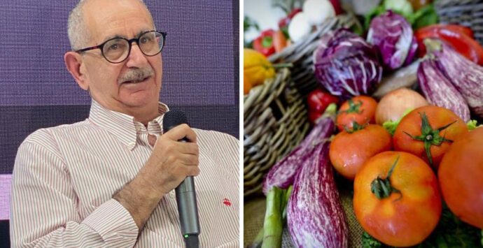 Alla Biblioteca comunale di Vibo la presentazione del libro “Dieta Mediterranea” curato dall’antropologo Vito Teti