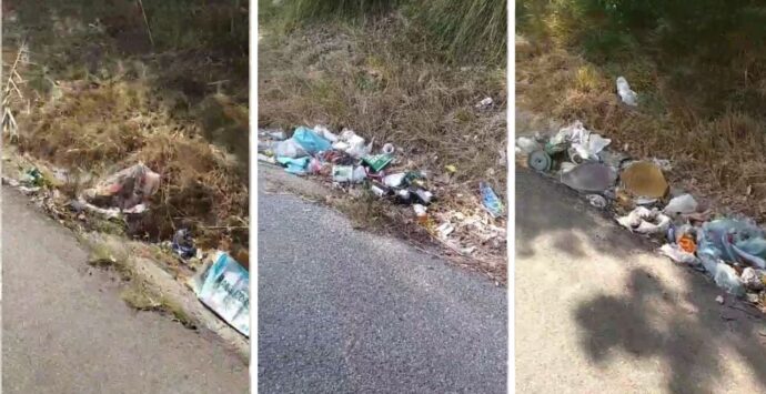 La vergogna dei rifiuti abbandonati lungo le strade vibonesi, Calzone (Wwf): «I Comuni possono costringere Anas e Provincia a intervenire» – Video