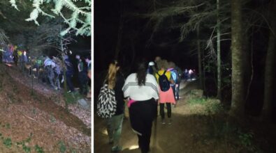 Un “bagno” nella foresta: l’escursione notturna alla scoperta del bosco Archiforo