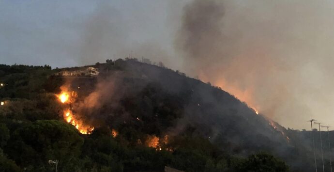 Vibonese nella morsa degli incendi: il vasto rogo di Parghelia domato solo stamattina, in fiamme uliveti a Monsoreto