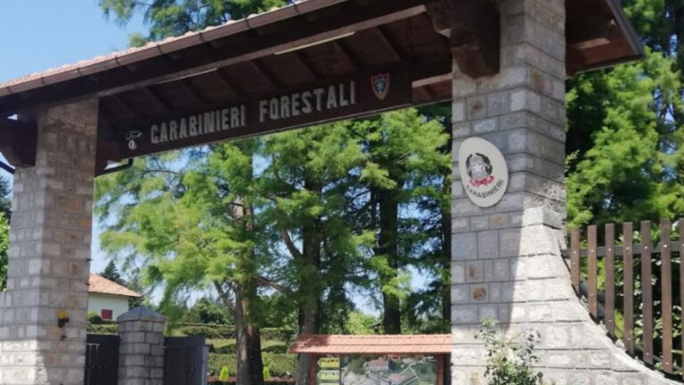 Laboratori, escursioni e visite guidate: a Mongiana tutto pronto per la festa della biodiversità