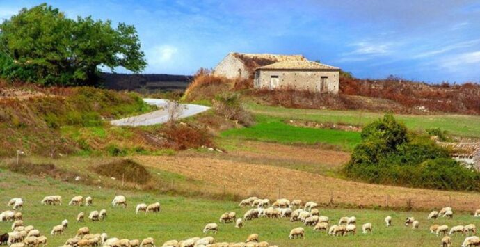 Zaccanopoli e l’evoluzione delle sue campagne nella mostra di Mazzeo e Scordamaglia