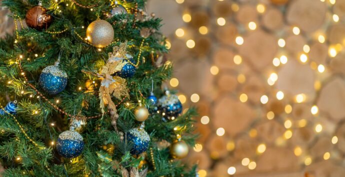 Sponsor cercasi per il Natale vibonese, il Comune pensa a 14 alberi ma scoppia la polemica: «Hanno scordato 3 frazioni»