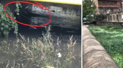 Il misterioso scarico nel torrente Antonucci che comincia a vomitare liquami quando piove (e non solo): ecco il tubo “ammucciato” – VIDEO