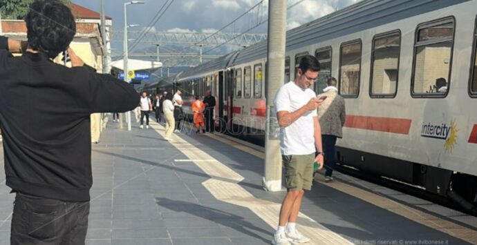 Ancora disagi per chi viaggia in treno verso la Calabria: a causa di un albero fermo per ore un Intercity diretto a Reggio
