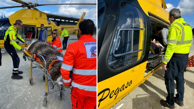 Parghelia, 74enne cade in casa e si ferisce: interviene l’elisoccorso