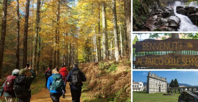 L’educazione civica si studia nel Parco delle Serre: le iniziative promosse dall’Istituto Comprensivo di Fabrizia