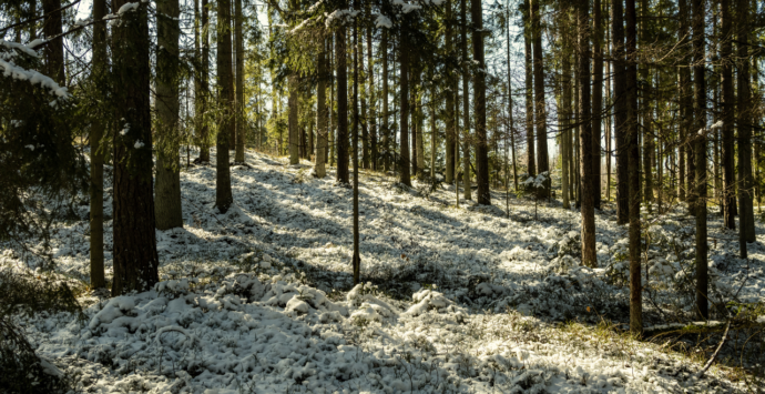 Nel Vibonese vigilia di Natale con pioggia e neve (in montagna), migliora il 25 ma il freddo resterà. Qualche fiocco anche in collina
