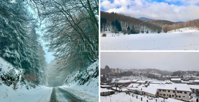 Natale fiabesco sulle Serre vibonesi: la neve imbianca boschi e centri montani – FOTO e VIDEO