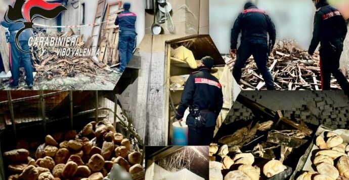 Era stato già beccato ma continuava a fare il pane tra topi e rifiuti: denunciato un fornaio di Vibo Marina – FOTO