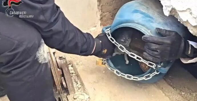 Armi da guerra e tritolo sequestrati a Reggio Calabria: l’esplosivo era pronto all’uso – VIDEO