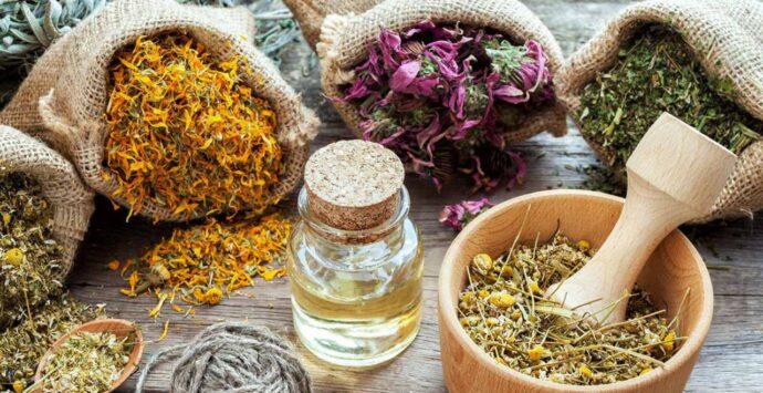 A Limbadi un convegno sulle erbe della salute per la cura del corpo e della mente