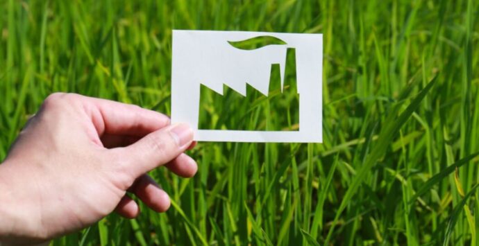 Transizione energetica: via al corso di formazione promosso dalla Camera di commercio. Ecco come aderire