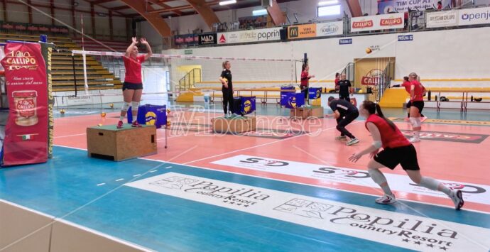 Volley, la Tonno Callipo riprende la sua corsa in campionato e sogna la Coppa Italia. Macedo: «Il meglio deve ancora venire» – VIDEO