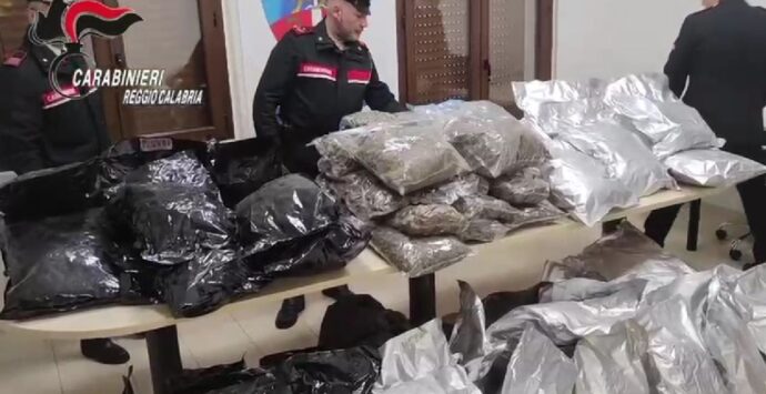 Blitz antidroga a Gioia Tauro, sequestrati 80 chili di marijuana e materiale pirotecnico – VIDEO