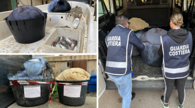 Pesca illegale, la Capitaneria di Vibo sequestra reti e 15 chili di pesce: sanzioni per 2mila euro