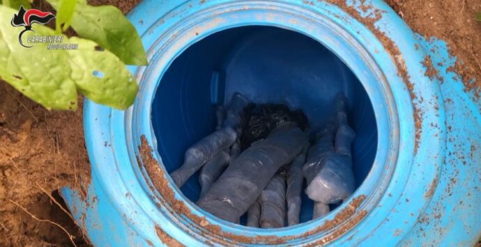 Maxi-sequestro nella Piana di Gioia Tauro: scoperto arsenale sotterrato e 6 chili di cocaina