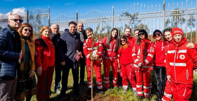 Vibo, l’assessore Miceli tira le somme dell’adesione alla campagna M’illumino di meno: «La città ha risposto con grande sensibilità»