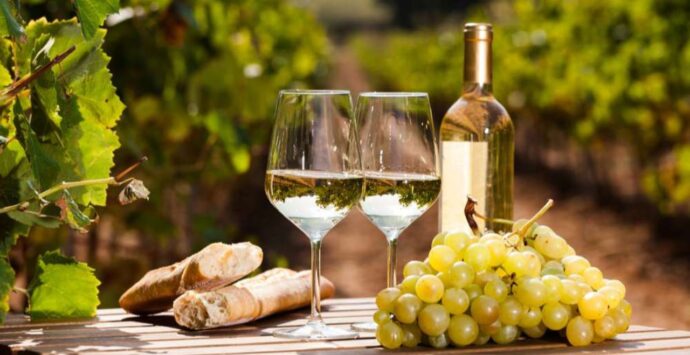 Tutto pronto a Verona (e poi al Vinitaly) per la presentazione della Doc Costa degli Dei per i vini da Magliocco Canino e Zibibbo