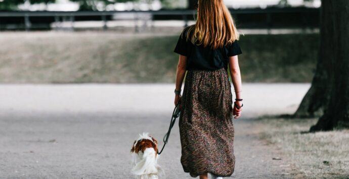 Vibo, multe fino a mille euro per chi non pulisce dove il proprio cane sporca: la stretta del Comune