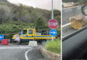 Caduta massi tra Vibo e Longobardi: la Statale 18 resterà chiusa per almeno 15 giorni: intervento costoso (500mila euro) e complesso