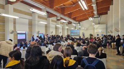 L’Istituto comprensivo Don Mottola di Tropea-Ricadi eccelle ai Giochi matematici del Mediterraneo: pioggia di successi