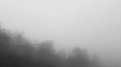 Vibonese avvolto dalla nebbia: l’alto tasso di umidità causa banchi molto fitti con visibilità di pochi metri